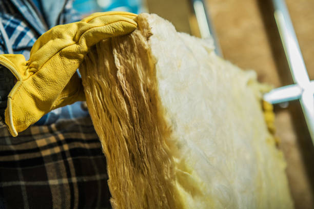 Best Specialized Insulation Services in Kingstowne, VA