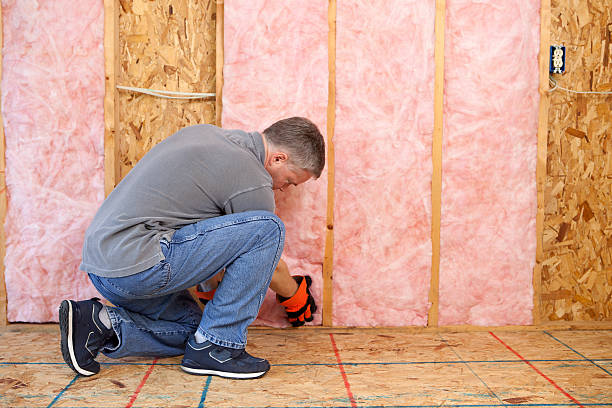 Best Fiberglass Insulation in Kingstowne, VA