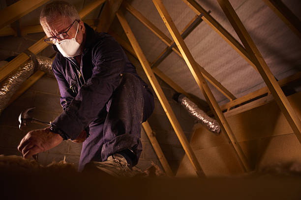 Best Fiberglass Insulation in Kingstowne, VA