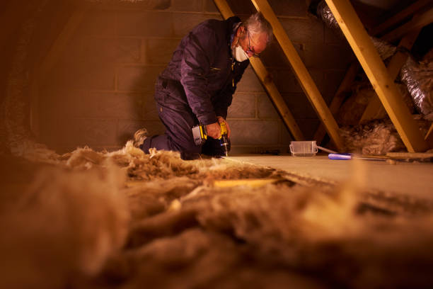 Best Fiberglass Insulation in Kingstowne, VA